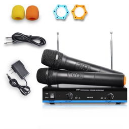 紐曼NM 616 一麥多用，暢享無線K歌與專業擴音新體驗