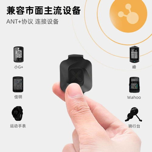 開啟旋動(dòng)的力量 行者新品“小旋風(fēng)”多媒體產(chǎn)品正式發(fā)布